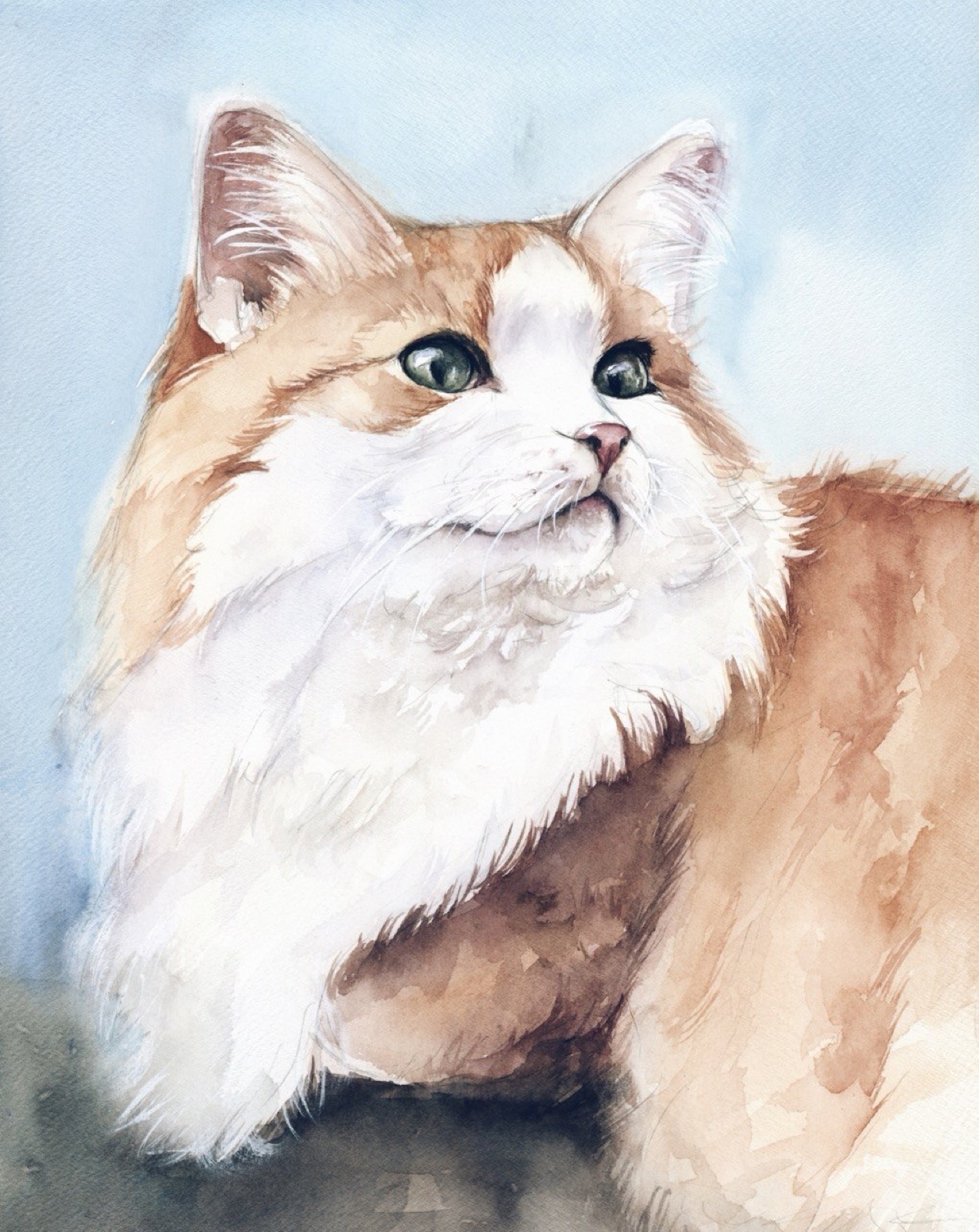Watercolor portrait of a fluffy ginger-and-white cat