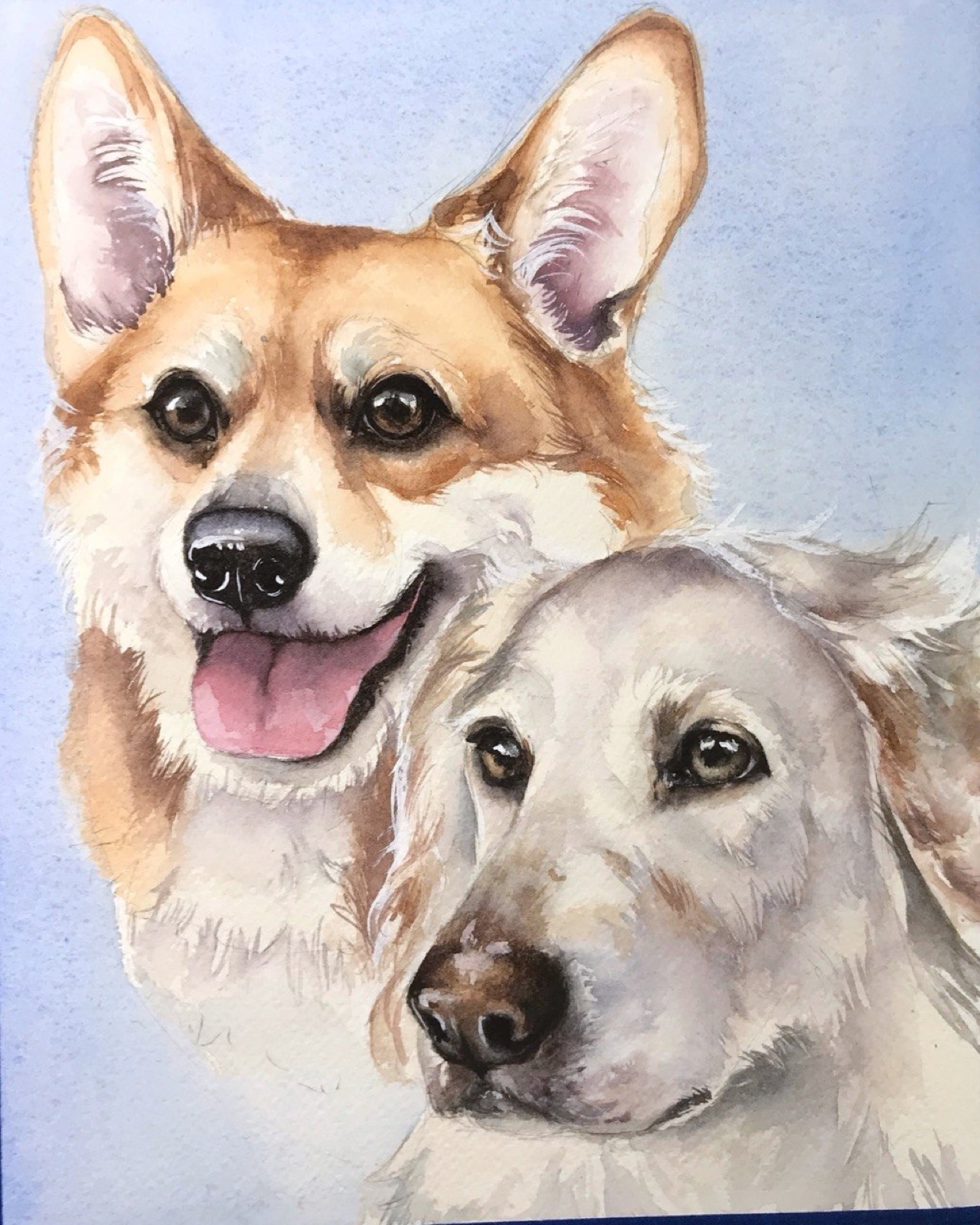 Watercolor pet portrait