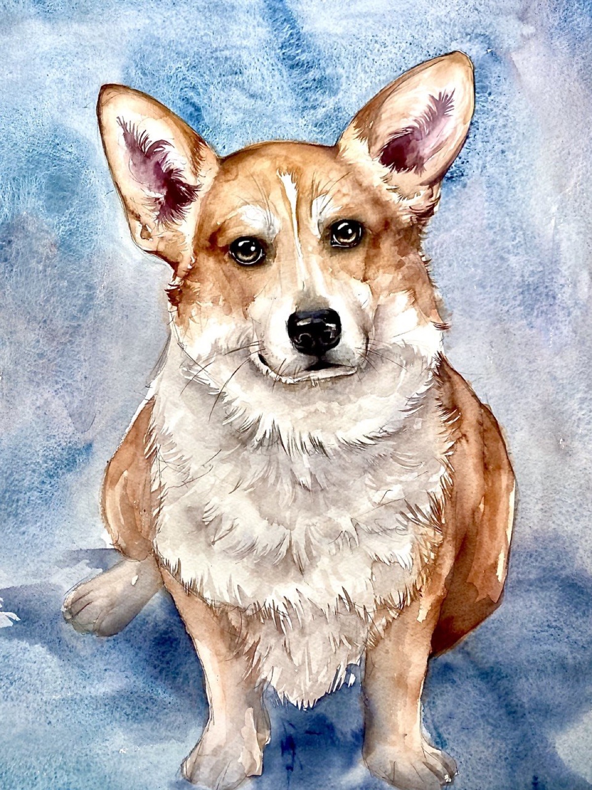 Watercolor pet portrait