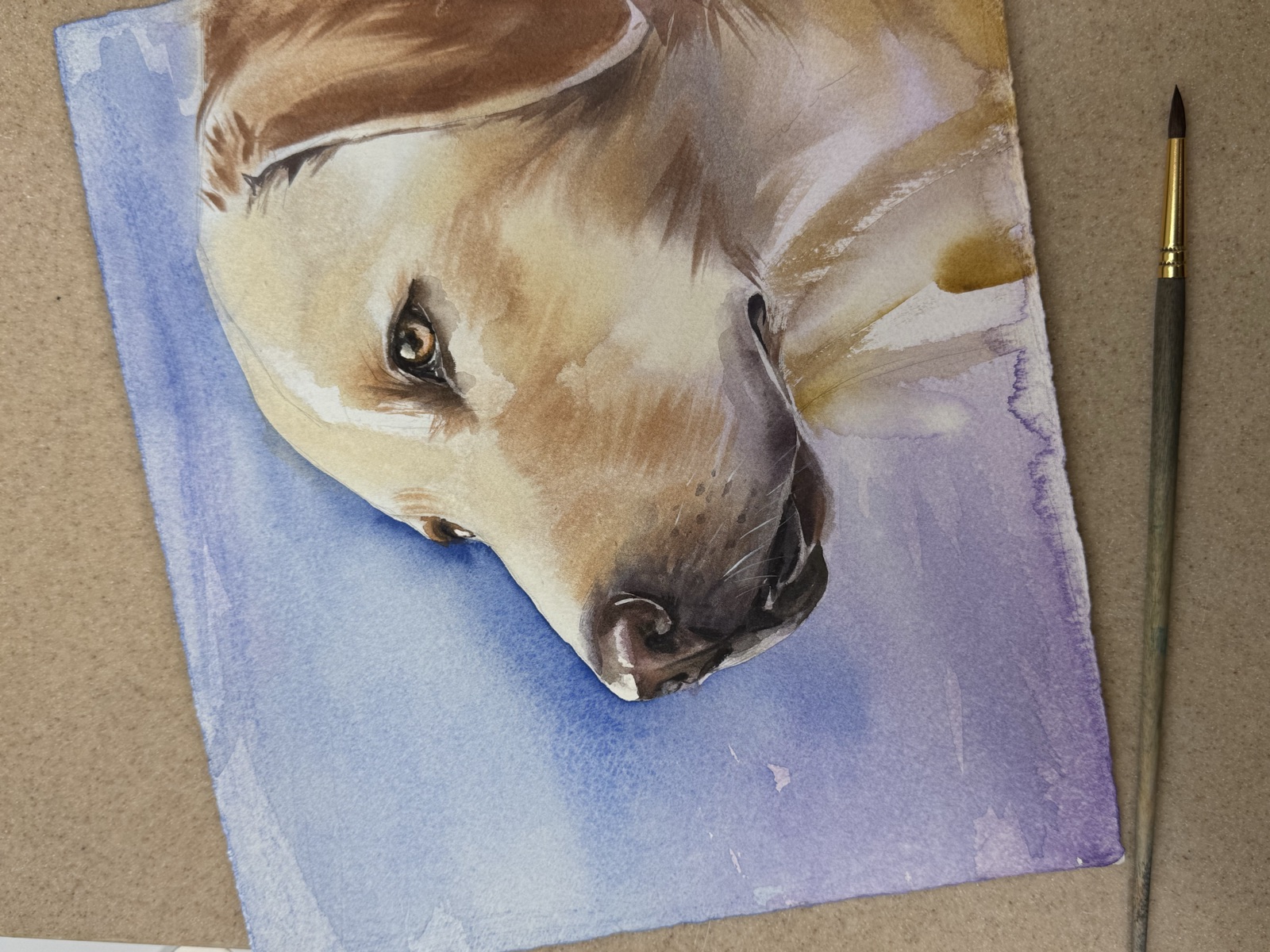 Watercolor pet portrait