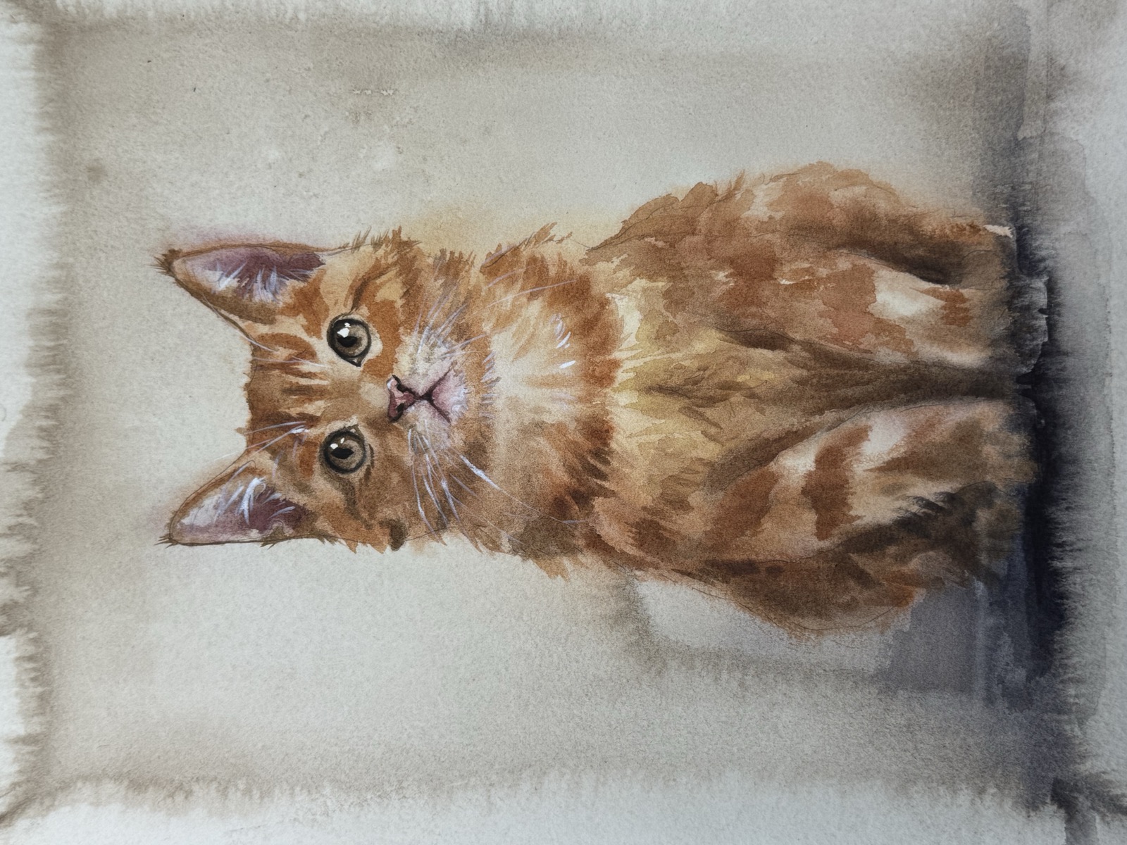 Watercolor portrait of Orange tabby
